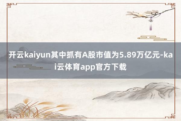 开云kaiyun其中抓有A股市值为5.89万亿元-kai云体育app官方下载