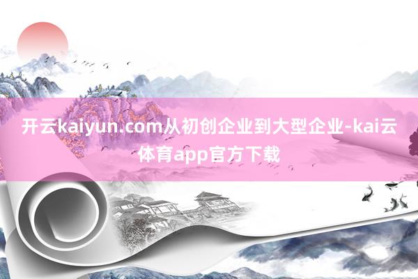 开云kaiyun.com　　从初创企业到大型企业-kai云体育app官方下载